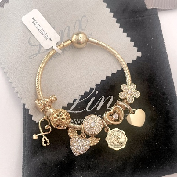 Linx Yellow Gold Snake Chain Bracelet with Registered Nurse Themed Charms - Picture 3 of 9